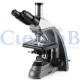 Microscopia Microscopia